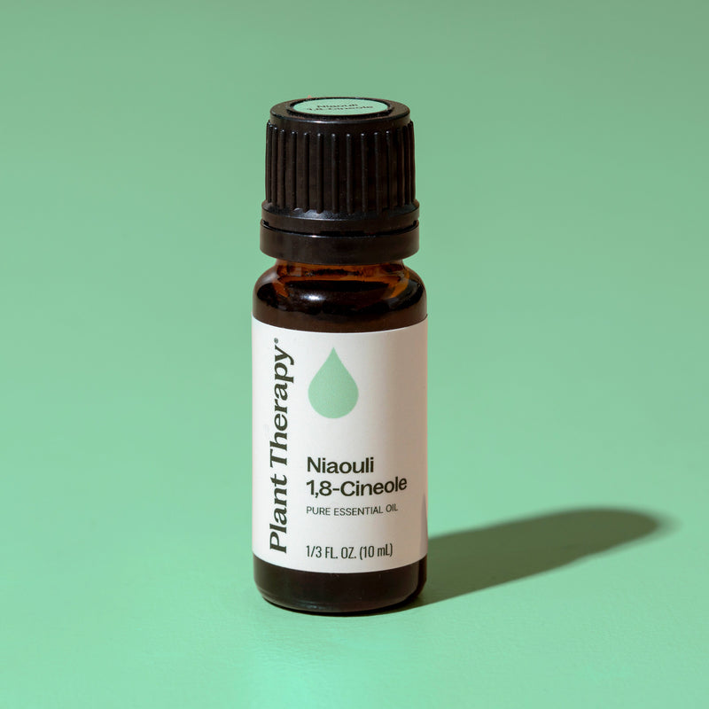 Plant Therapy Niaouli 1,8-Cineole Essential Oil Essential Oil