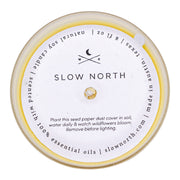 Slow North Hello Sunshine - Signature Candle (Grapefruit + Geranium + Lime) Frosted Candles