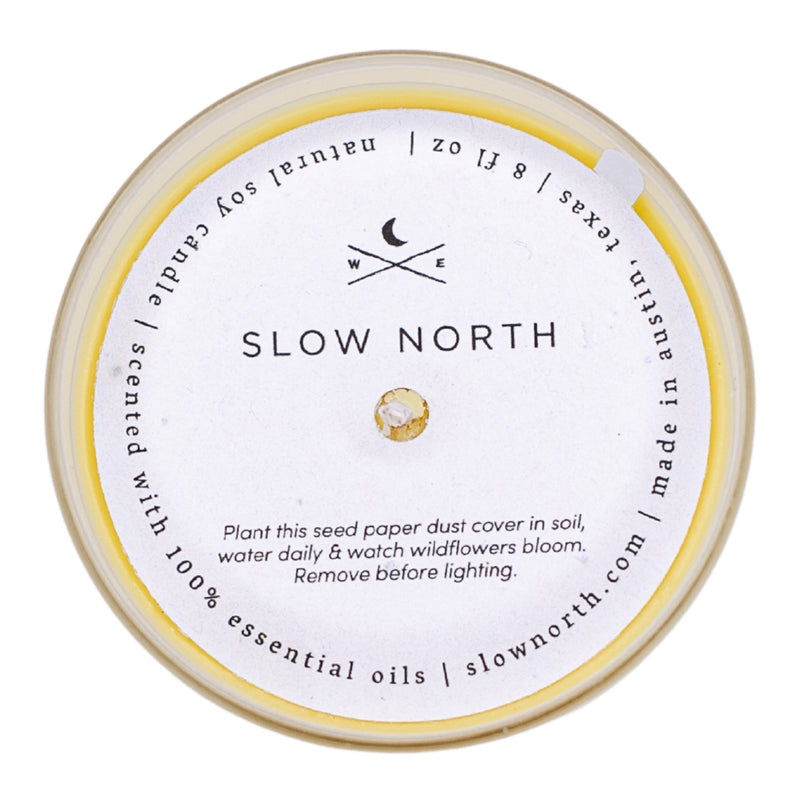 Slow North Hello Sunshine - Signature Candle (Grapefruit + Geranium + Lime) Frosted Candles