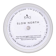 Slow North Lemongrass + Tangerine - Signature Candle Frosted Candles
