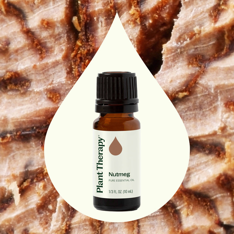 Plant Therapy Nutmeg Essential Oil Essential Oil