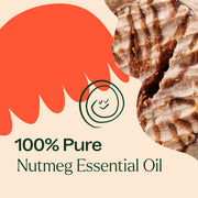 Plant Therapy Nutmeg Essential Oil Essential Oil