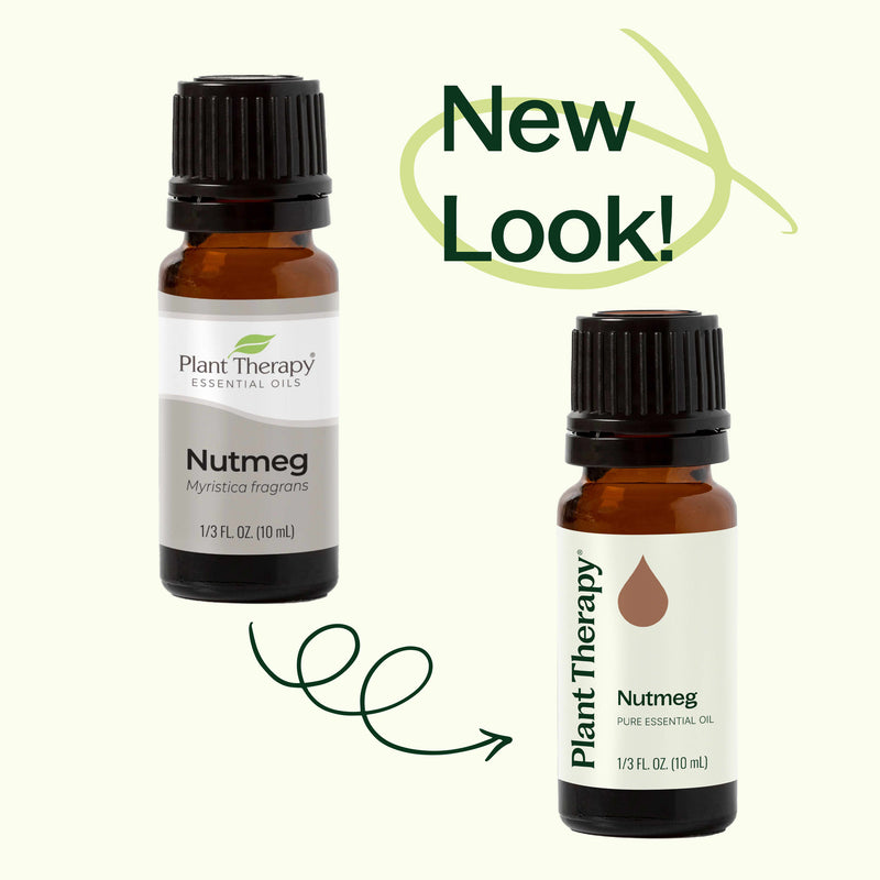 Plant Therapy Nutmeg Essential Oil Essential Oil