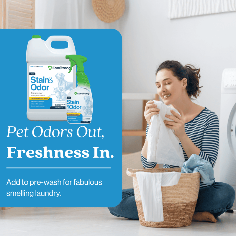 EcoStrong Pet Stain and Odor Eliminator Pet & Animal > Pet Stain & Odor