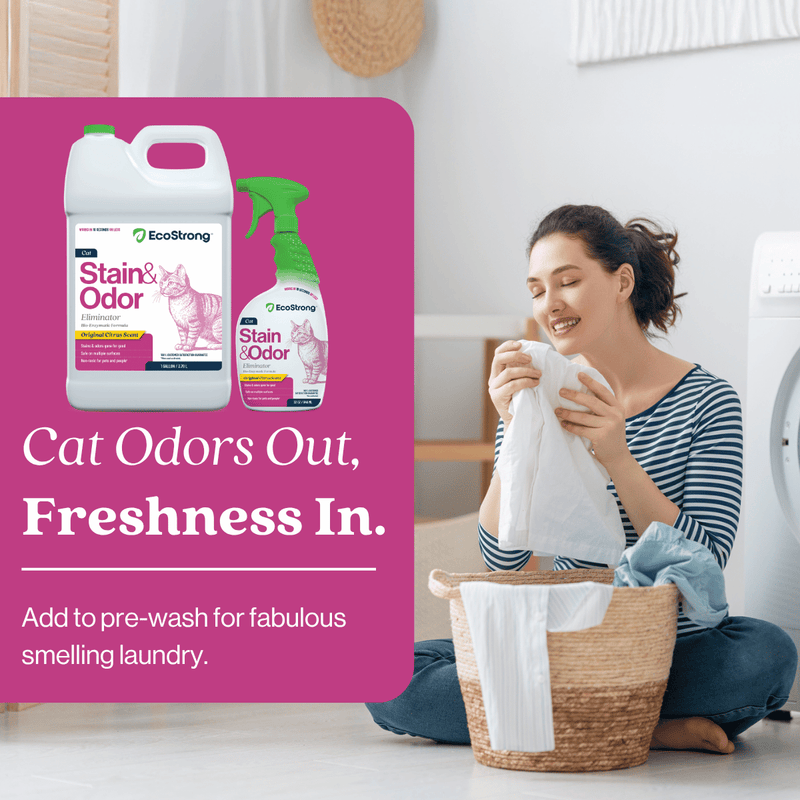 EcoStrong Cat Stain and Odor Eliminator Pet & Animal > Cat Stain & Odor