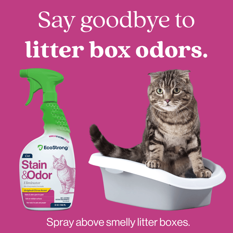 EcoStrong Cat Stain and Odor Eliminator Pet & Animal > Cat Stain & Odor