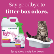 EcoStrong Cat Stain and Odor Eliminator Pet & Animal > Cat Stain & Odor