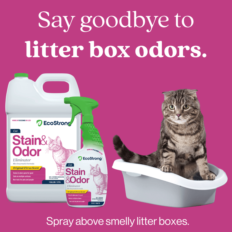 EcoStrong Cat Stain and Odor Eliminator Pet & Animal > Cat Stain & Odor