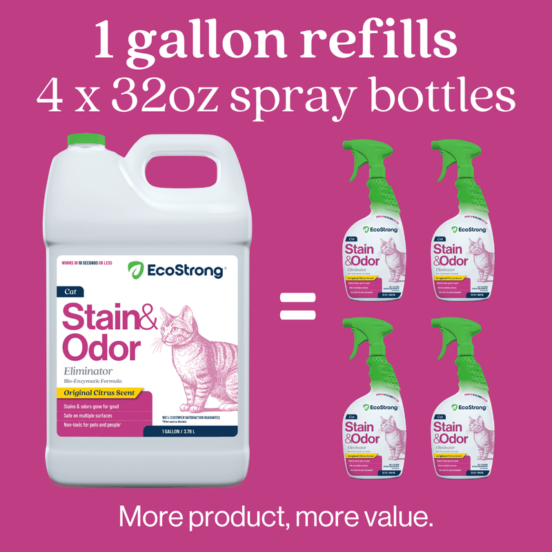 EcoStrong Cat Stain and Odor Eliminator Pet & Animal > Cat Stain & Odor