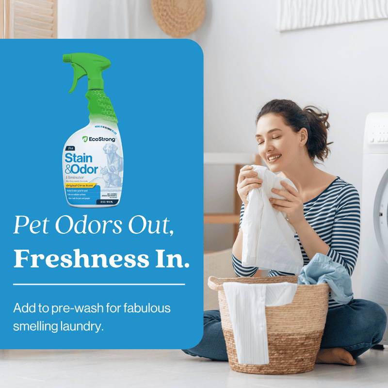 EcoStrong Pet Stain and Odor Eliminator Pet & Animal > Pet Stain & Odor