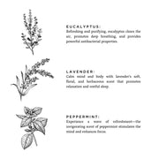 Slow North Of The Sea - Signature Candle (Eucalyptus + Lavender + Peppermint) Frosted Candles