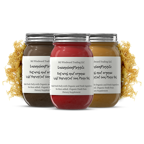 MG Windward Trading LLC Omega 3 Infused Organic Sea Moss Gel Herbal Gel