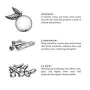 Slow North Orange + Clove - Signature Soy Candle Frosted Candles
