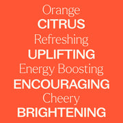 Plant Therapy Orange Essence Oil Essential Oil