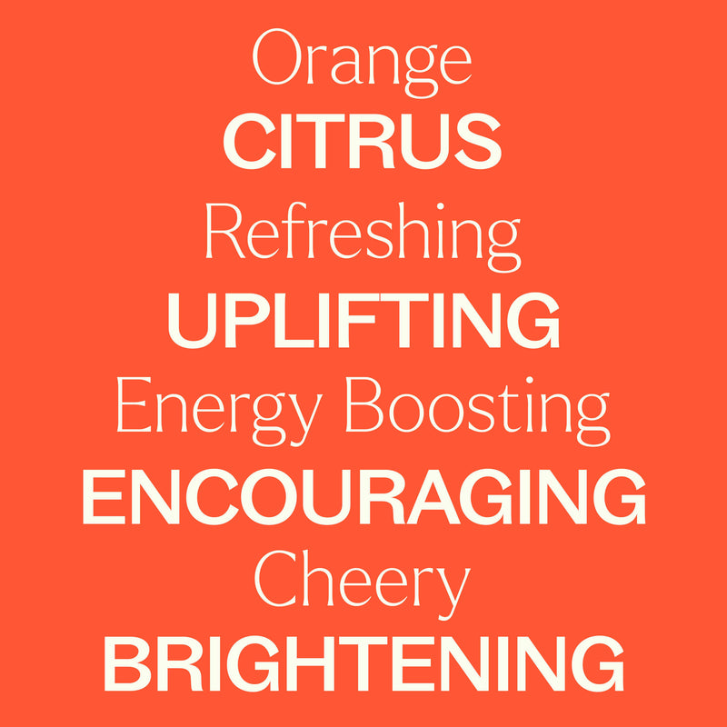 Plant Therapy Orange Essence Oil Essential Oil