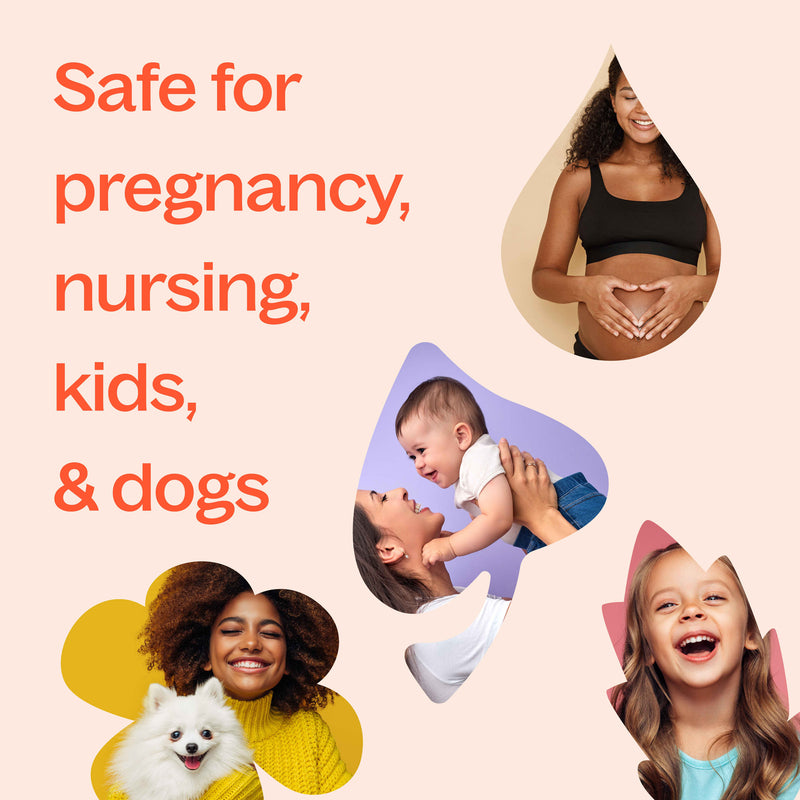 Plant Therapy Orange Essence Oil Essential Oil