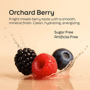 Root'd Advanced Daily Nutrition - Formulated for Men Electrolytes