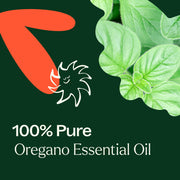 Plant Therapy Oregano Essential Oil Essential Oil
