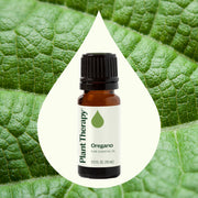 Plant Therapy Oregano Essential Oil Essential Oil