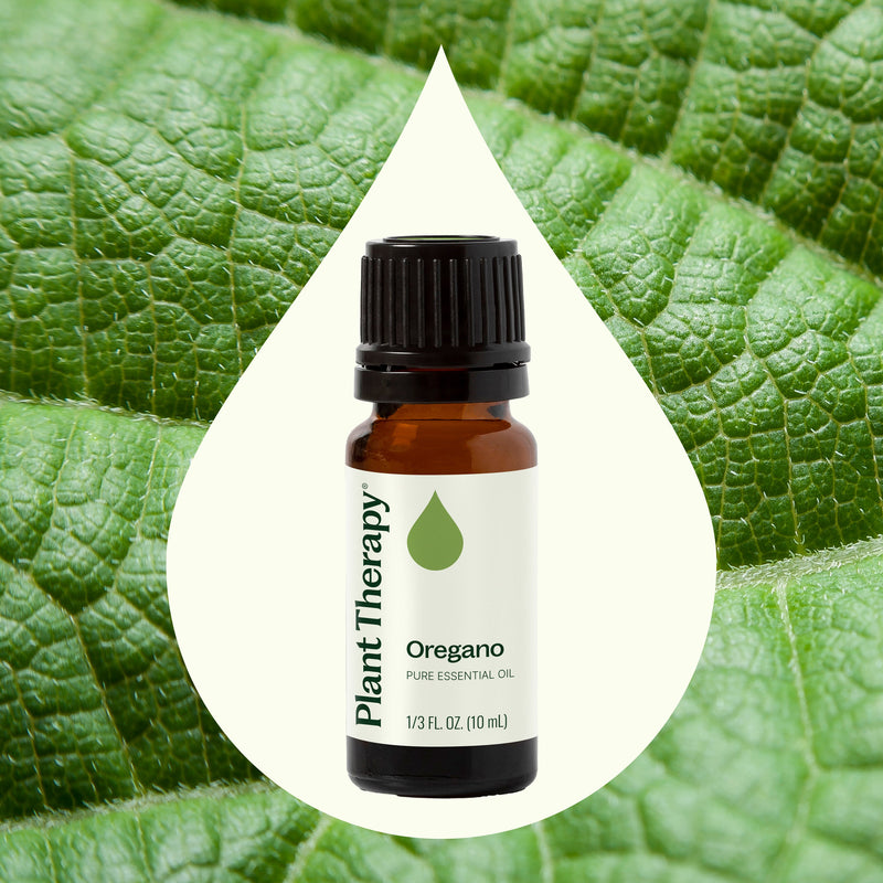 Plant Therapy Oregano Essential Oil Essential Oil