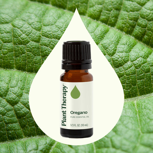 Plant Therapy Oregano Essential Oil Essential Oil