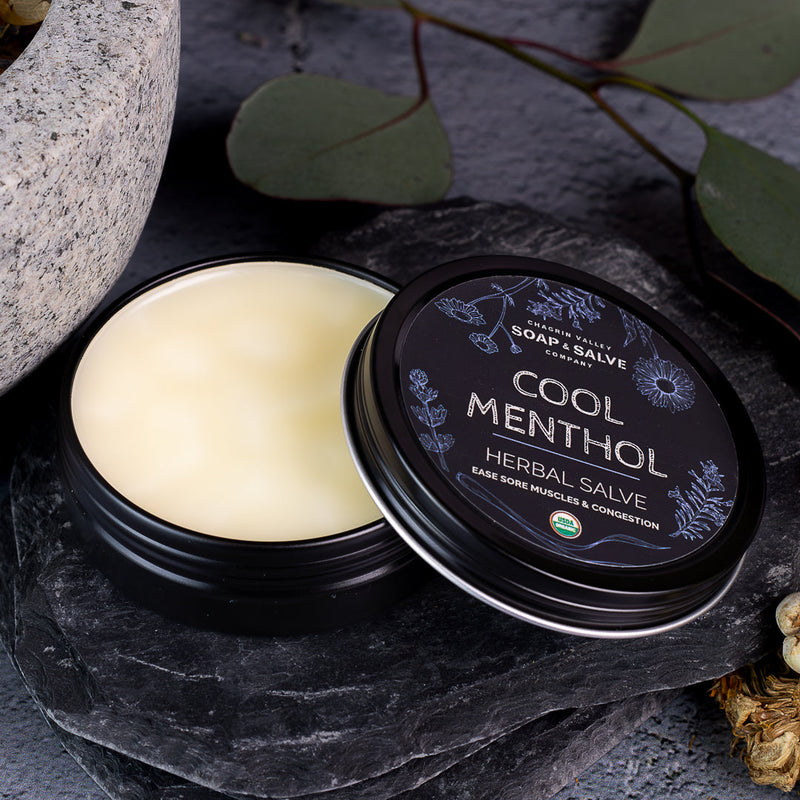 Chagrin Valley Soap & Salve Salve: Cool Menthol Healing Salve