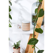 Butter Me Up Organics Organic Deodorant / Sensitive 1/2 & 1/2 Deodorant / Organic Deodorant Body