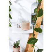 Butter Me Up Organics Organic Deodorant / Sensitive 1/2 & 1/2 Deodorant / Organic Deodorant Body