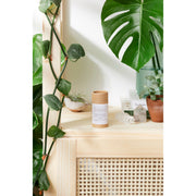 Butter Me Up Organics Organic Lotion Bar Shea Butter and Coconut Oil Body