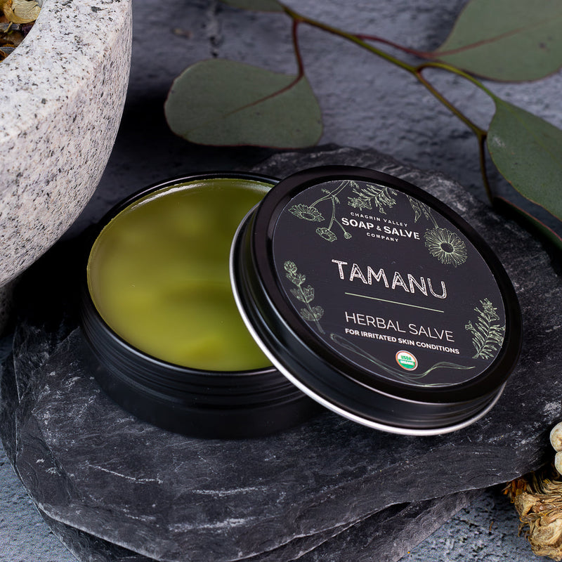 Chagrin Valley Soap & Salve Salve: Tamanu Oil Healing Salve