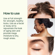 Plant Therapy Organic Argan Carrier Oil Body Care