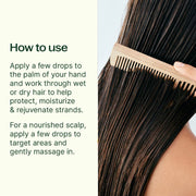 Plant Therapy Organic Argan Hair Oil Hair & Skin Care