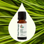 Plant Therapy Organic Atlas Cedarwood Essential Oil Essential Oil