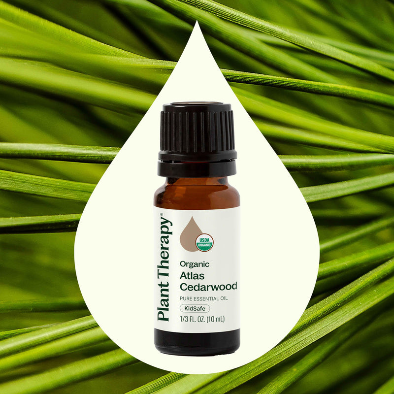 Plant Therapy Organic Atlas Cedarwood Essential Oil Essential Oil
