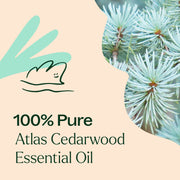 Plant Therapy Organic Atlas Cedarwood Essential Oil Essential Oil