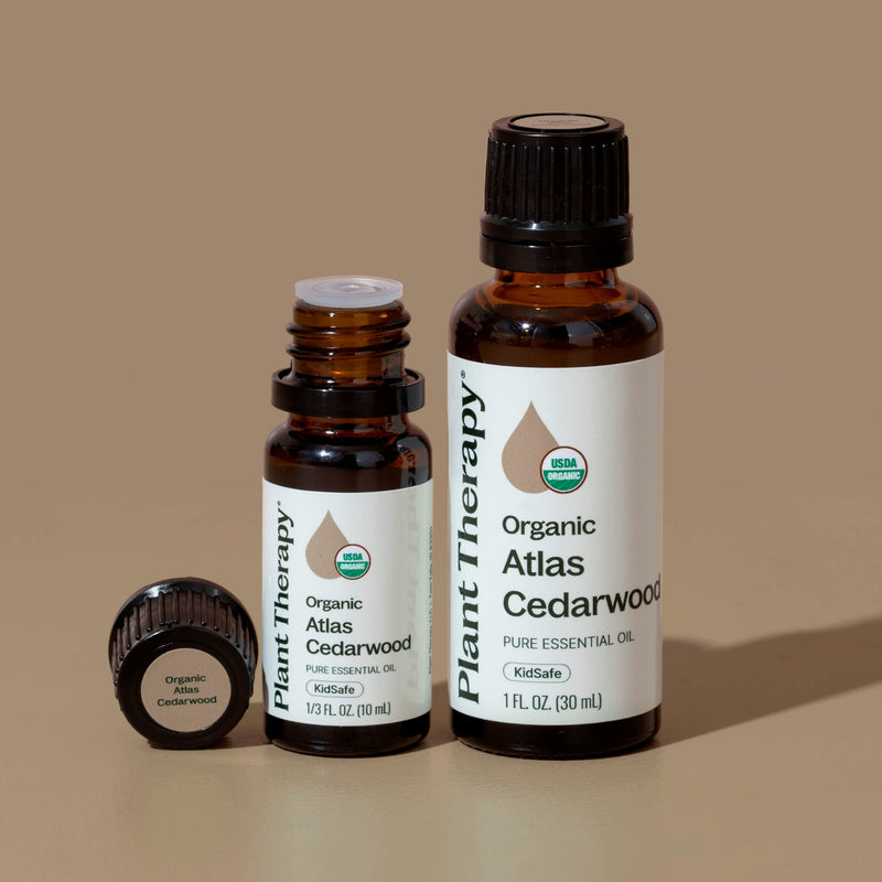 Plant Therapy Organic Atlas Cedarwood Essential Oil Essential Oil