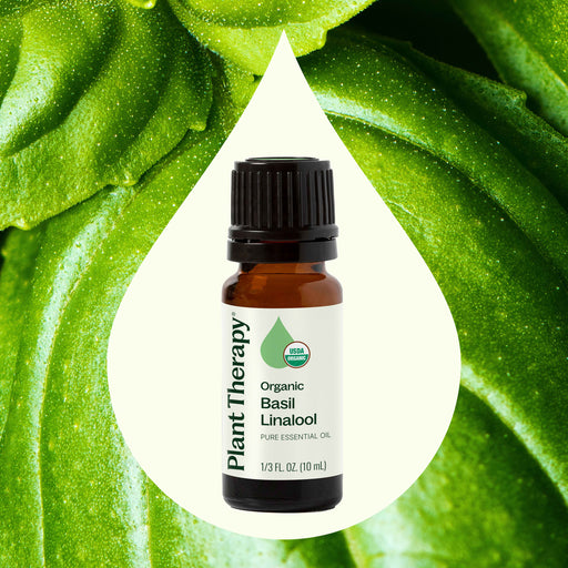 Plant Therapy Organic Basil Linalool Essential Oil Essential Oil