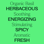 Plant Therapy Organic Basil Linalool Essential Oil Essential Oil