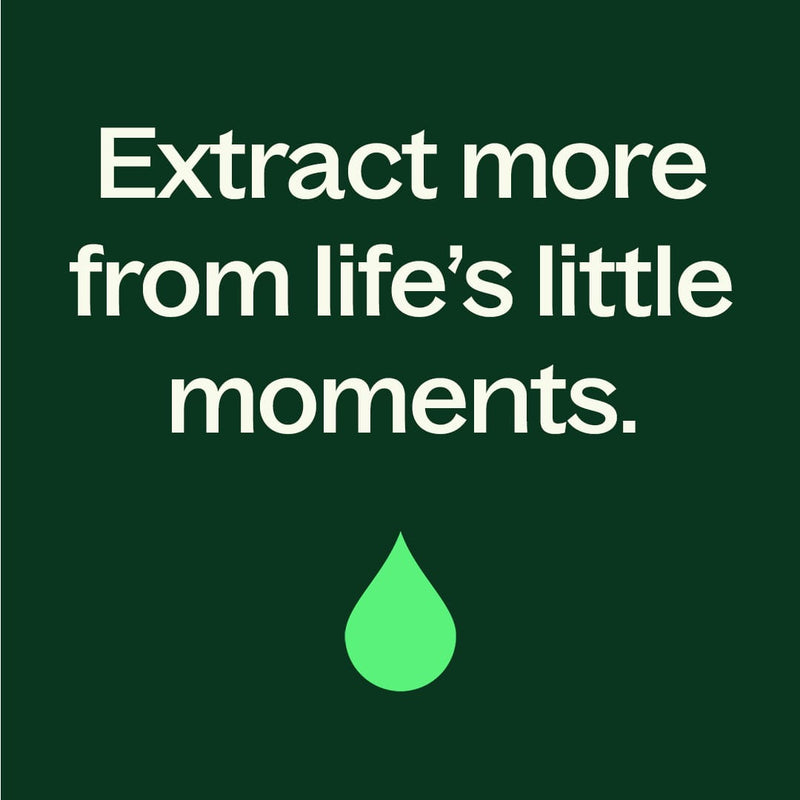 Plant Therapy Organic Black Pepper Essential Oil Essential Oil