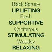 Plant Therapy Organic Black Spruce Essential Oil Essential Oil