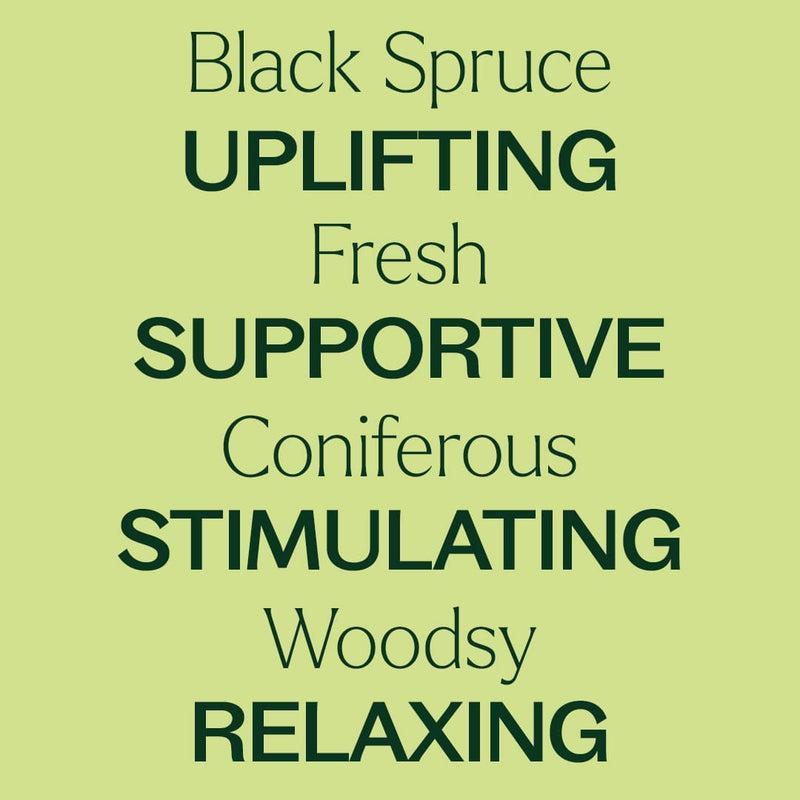 Plant Therapy Organic Black Spruce Essential Oil Essential Oil