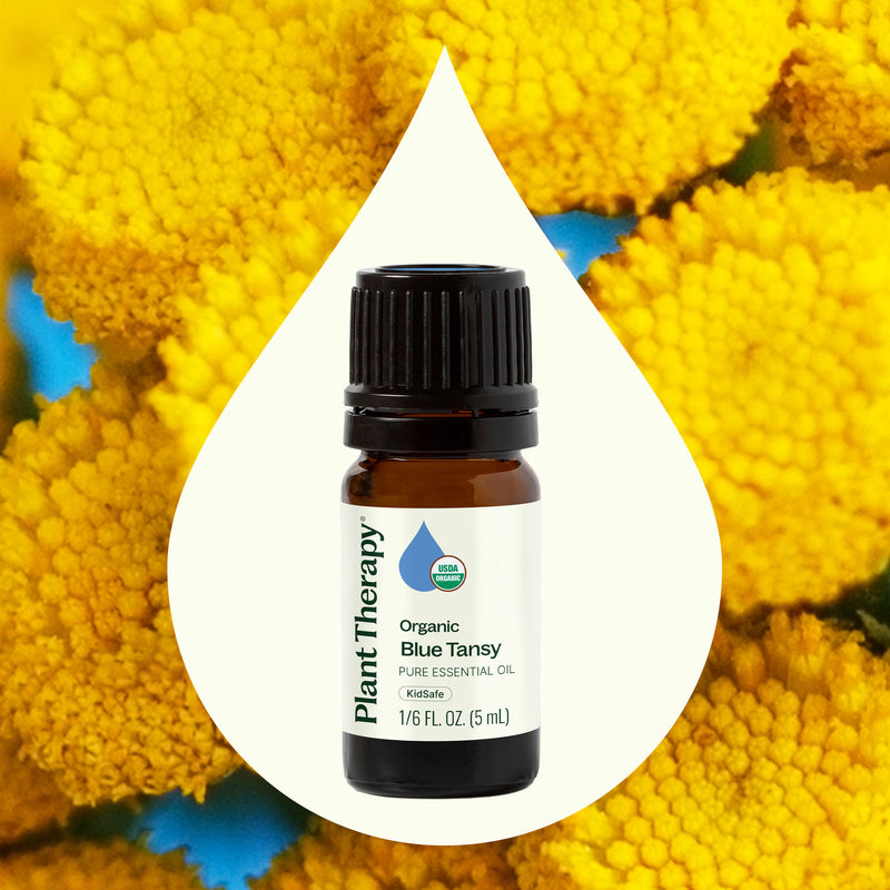Plant Therapy Organic Blue Tansy Essential Oil Essential Oil