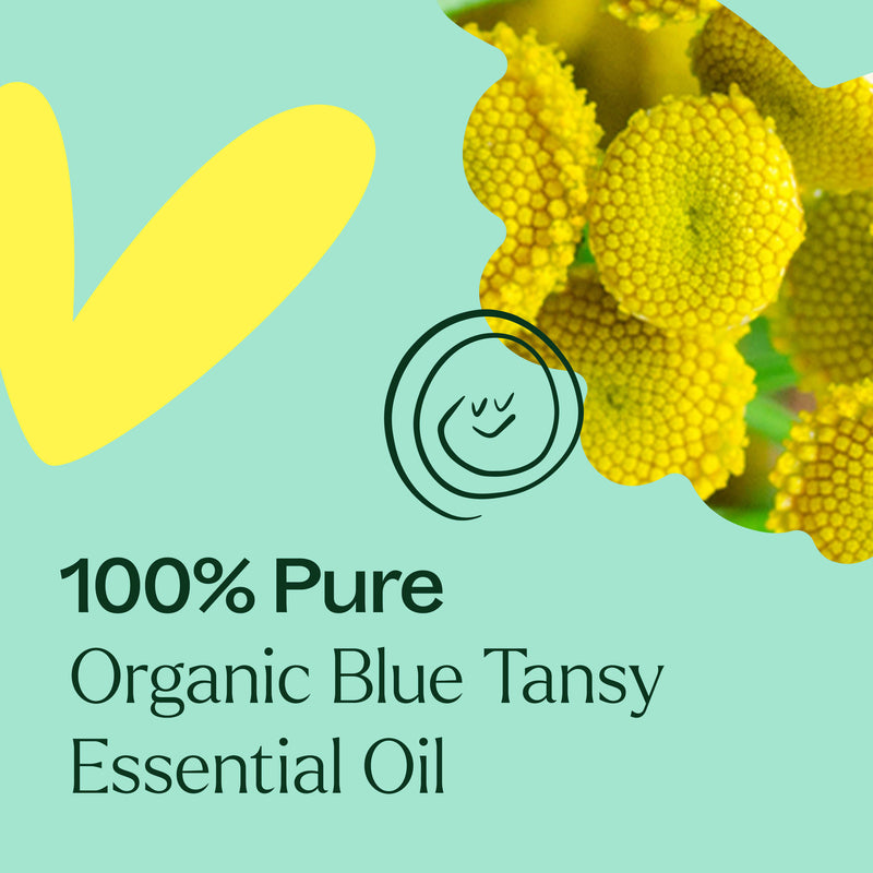 Plant Therapy Organic Blue Tansy Essential Oil Essential Oil