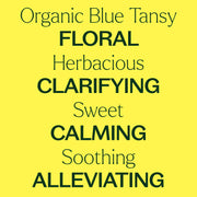 Plant Therapy Organic Blue Tansy Essential Oil Essential Oil