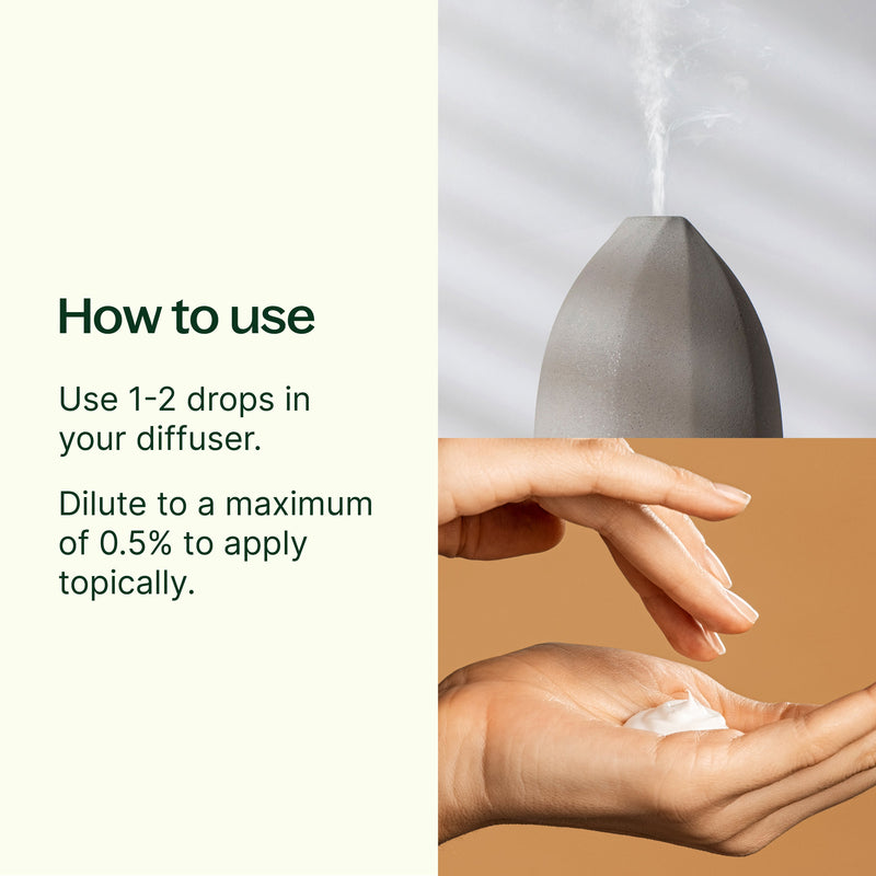 Plant Therapy Organic Cinnamon Cassia Essential Oil Essential Oil