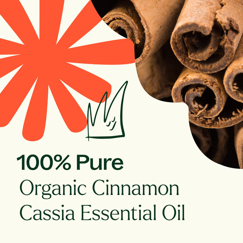 Plant Therapy Organic Cinnamon Cassia Essential Oil Essential Oil