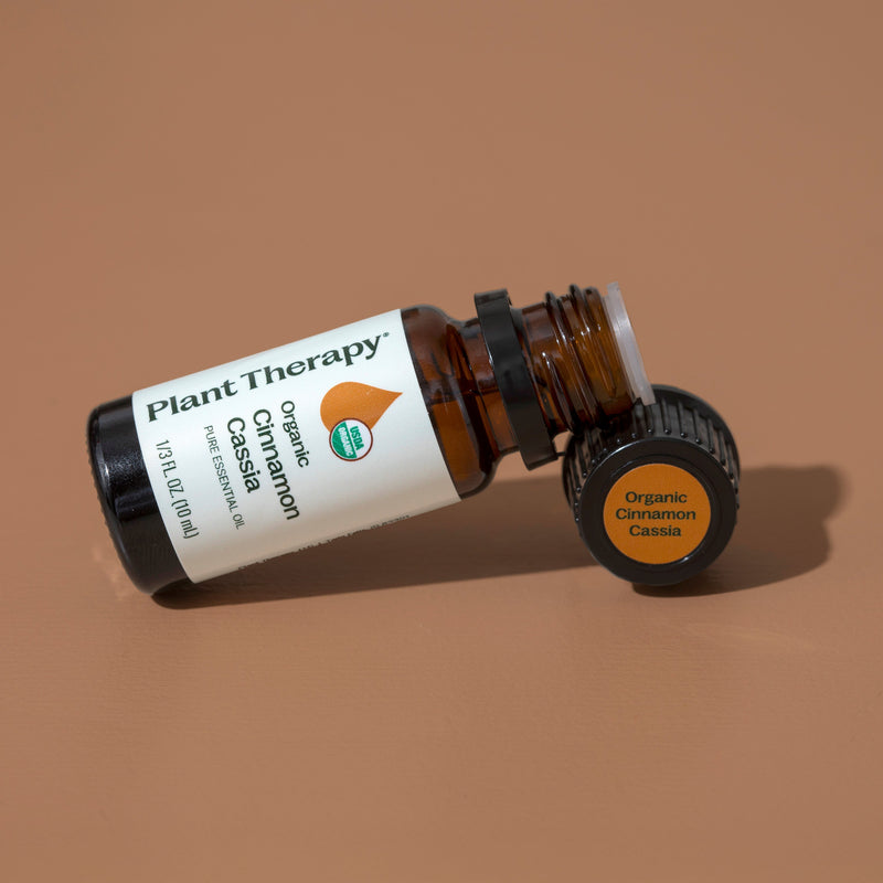 Plant Therapy Organic Cinnamon Cassia Essential Oil Essential Oil