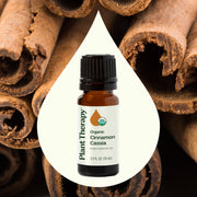 Plant Therapy Organic Cinnamon Cassia Essential Oil Essential Oil
