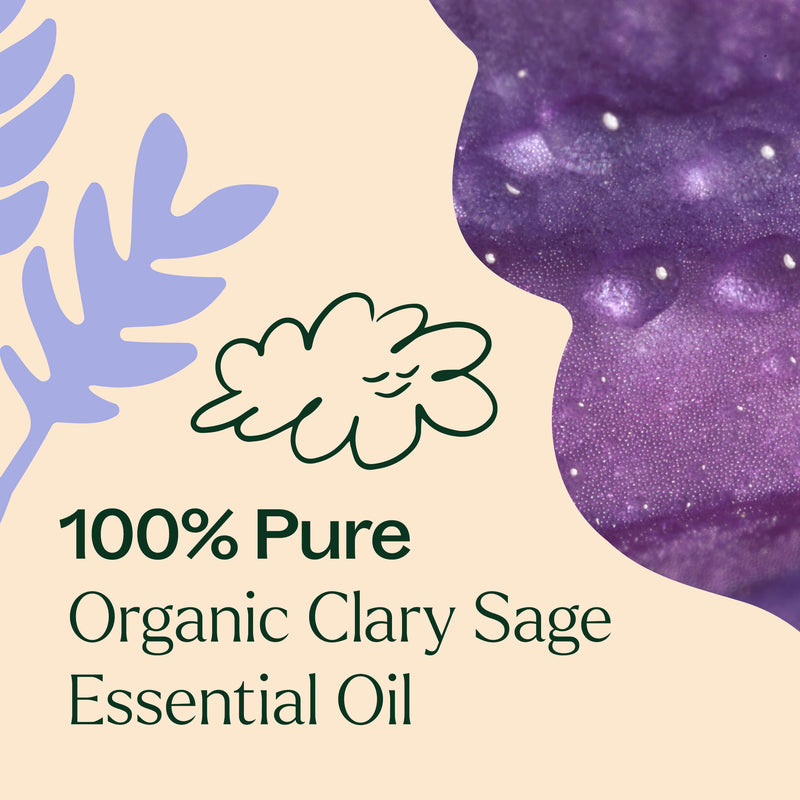 Plant Therapy Organic Clary Sage Essential Oil Essential Oil