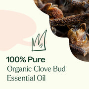 Plant Therapy Organic Clove Bud Essential Oil Essential Oil